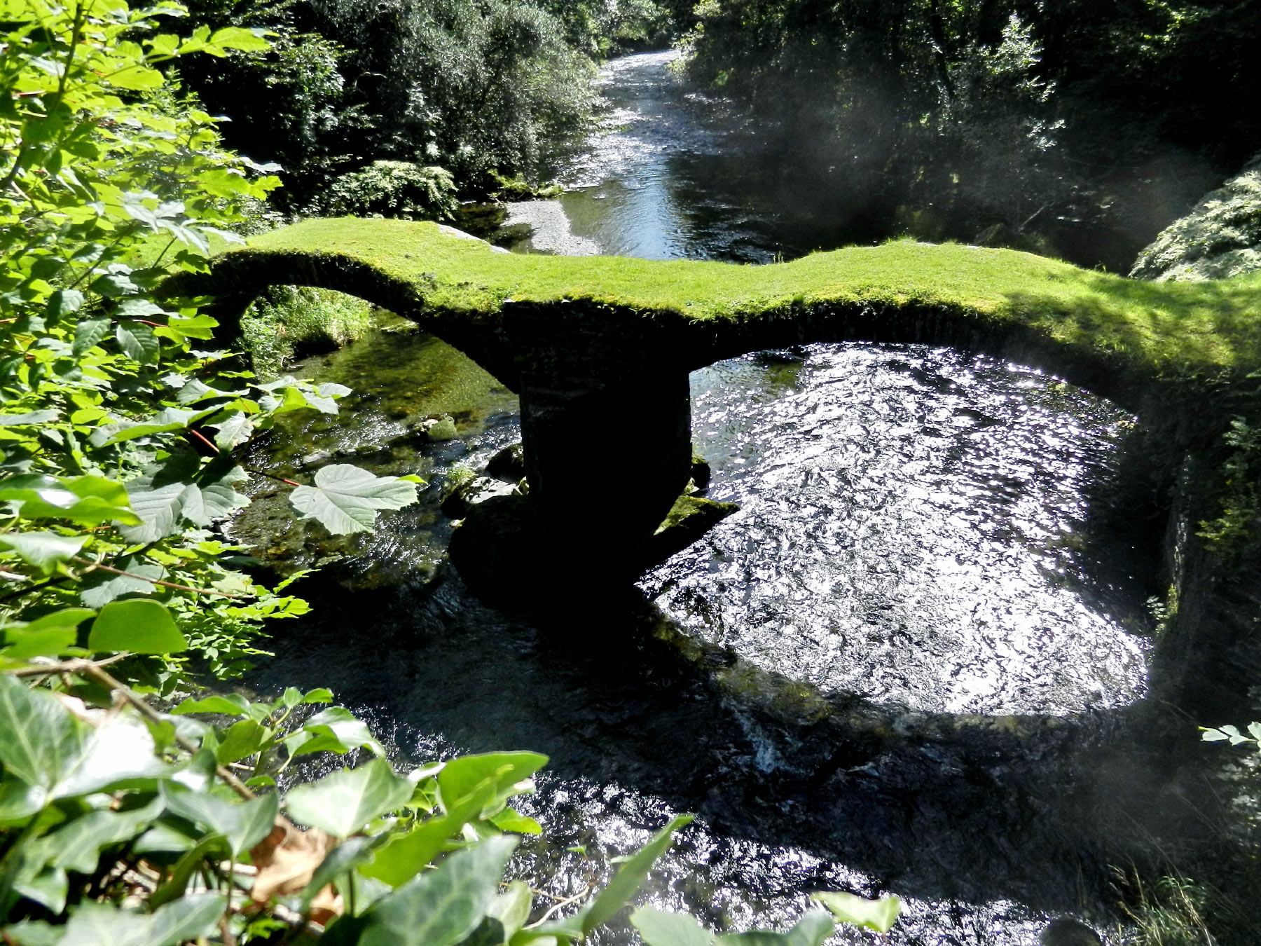 Meirion Mill